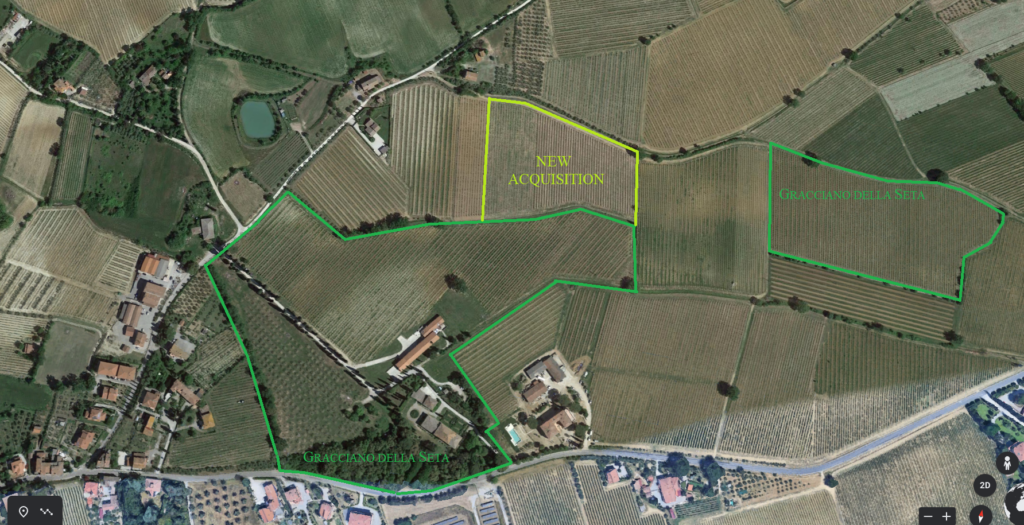 New vineyard for Gracciano