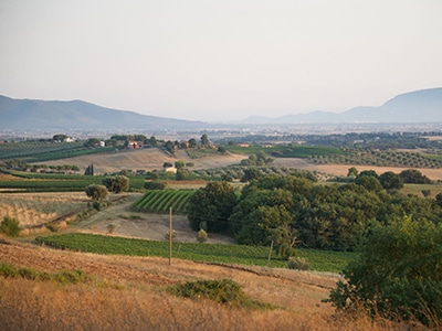 cantina LaSelva view maremma