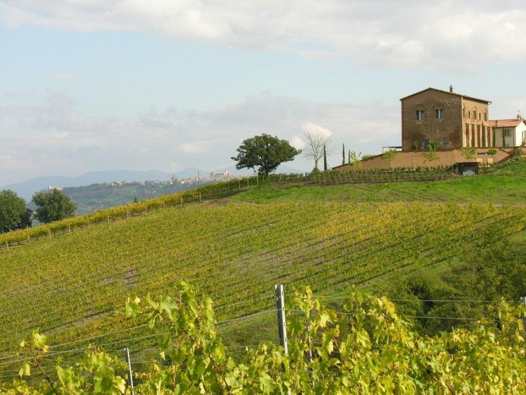 LOCANDA Palazzone view
