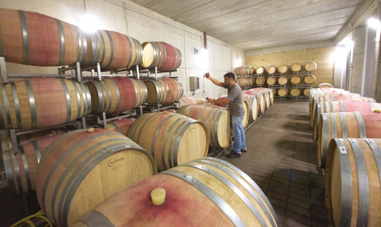cantina la selva barricaia