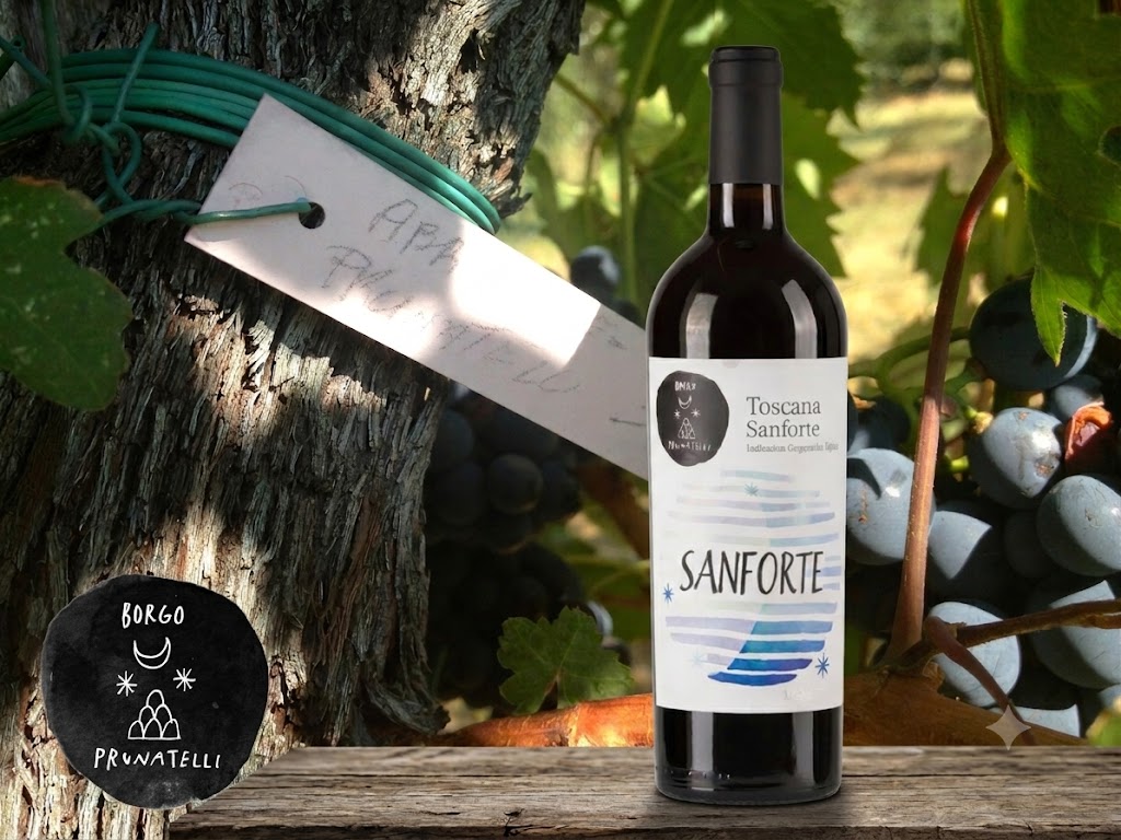Sanforte from Borgo Prunatelli, a legacy born after the storm