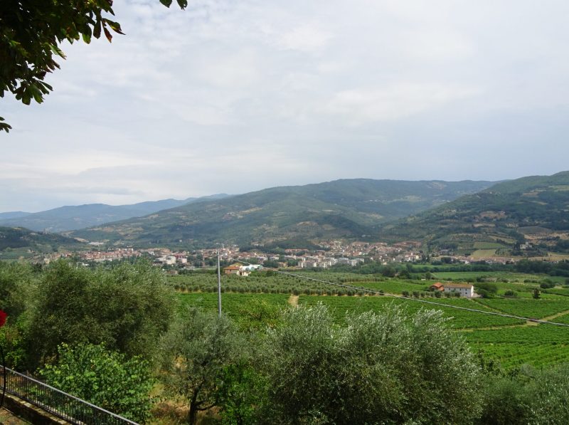 Villa di Vetrice: Chianti Rufina